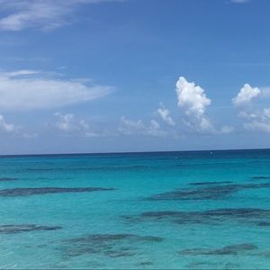 Meet your Posher, Kayli